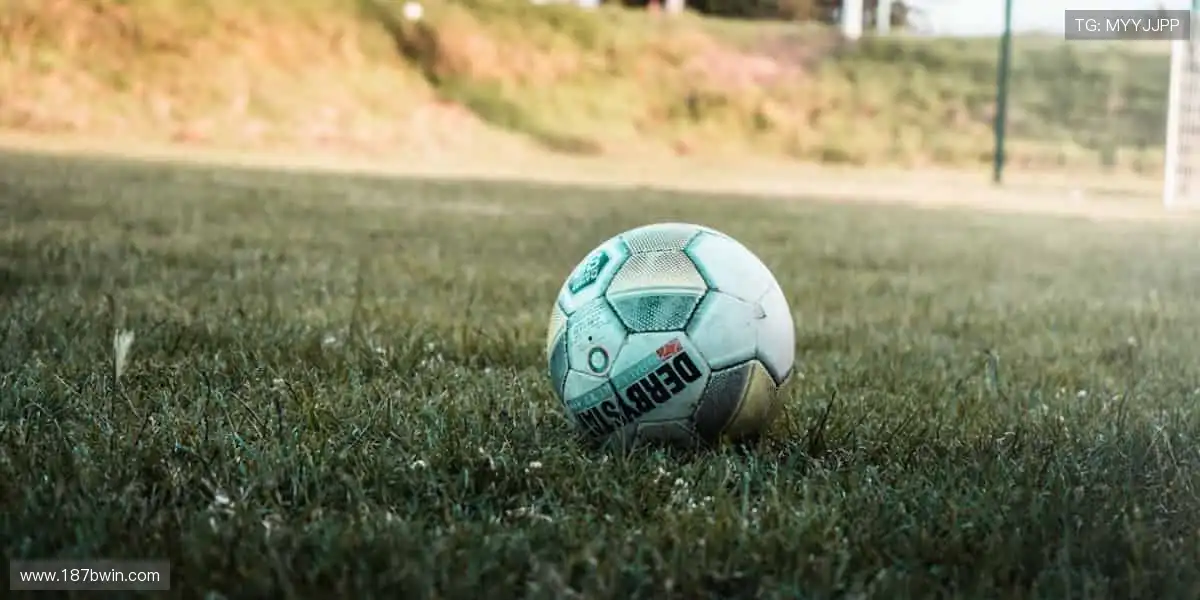 🎯精准数据,深度解析赛事背后的故事!